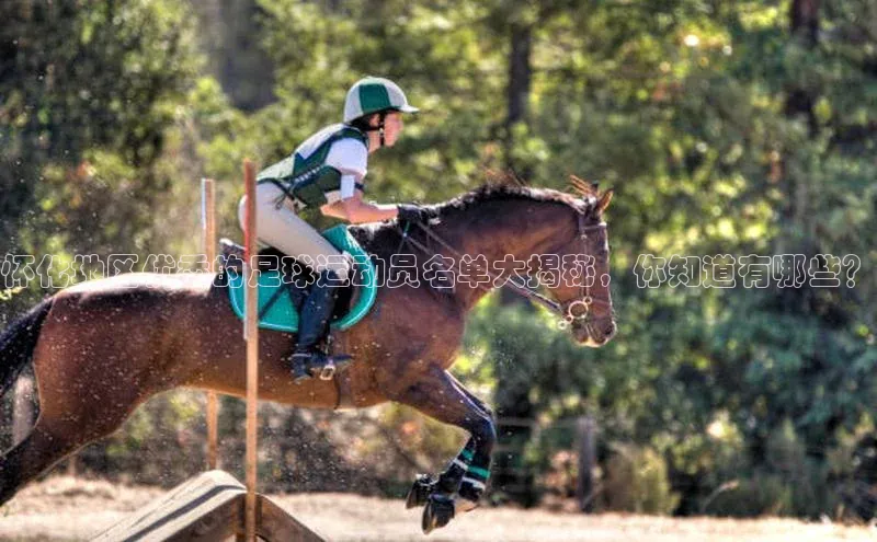 意昂3手机版登录百度网盘