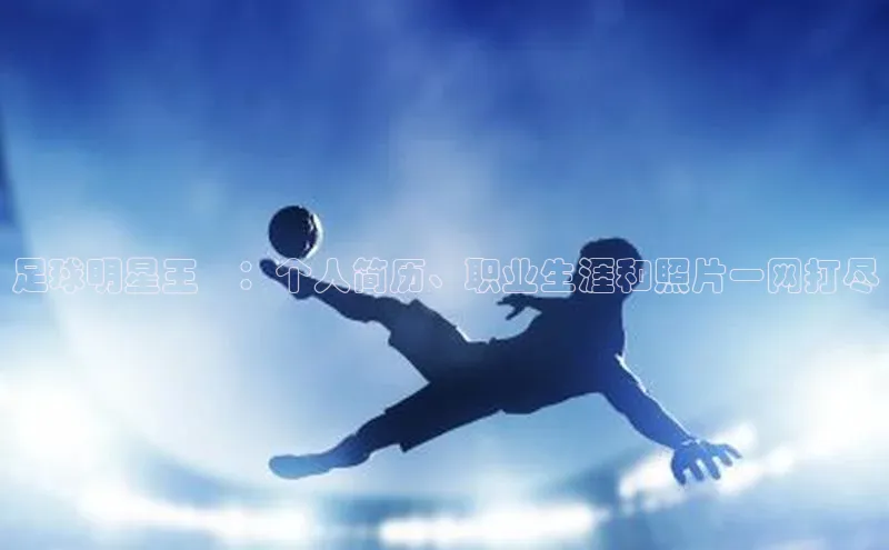 意昂体育3娱乐用176五八27从百度手机助手