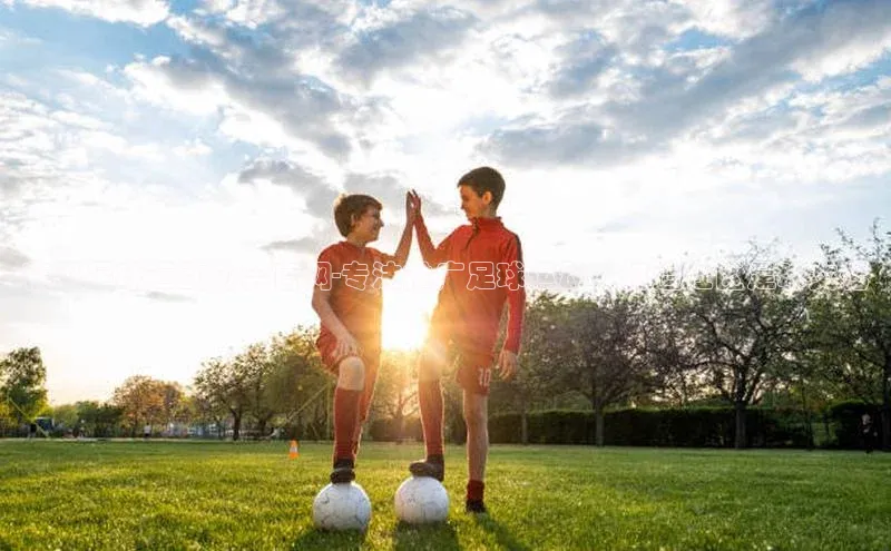 意昂3登陆入口网易