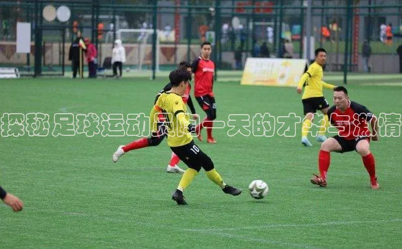 意昂3登陆入口即登录观星盘