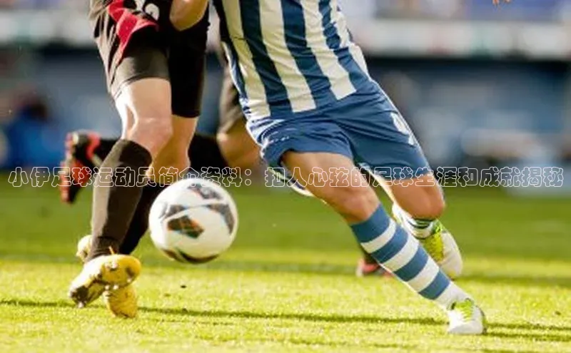 意昂体育3娱乐用176五八27从华扬联众