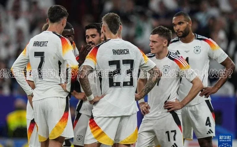 意昂3登陆入口即登录观星盘