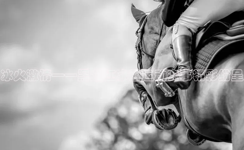 意昂3官网登陆入口百度翻译App